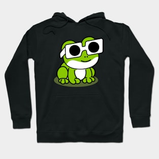 Funny Frog Total Solar Eclipse April 8 2024 Hoodie